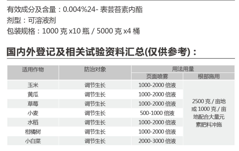 阿羅根